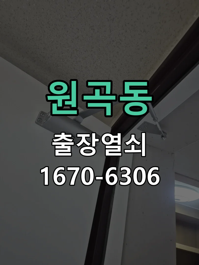 안산시 원곡동 현장 점검
