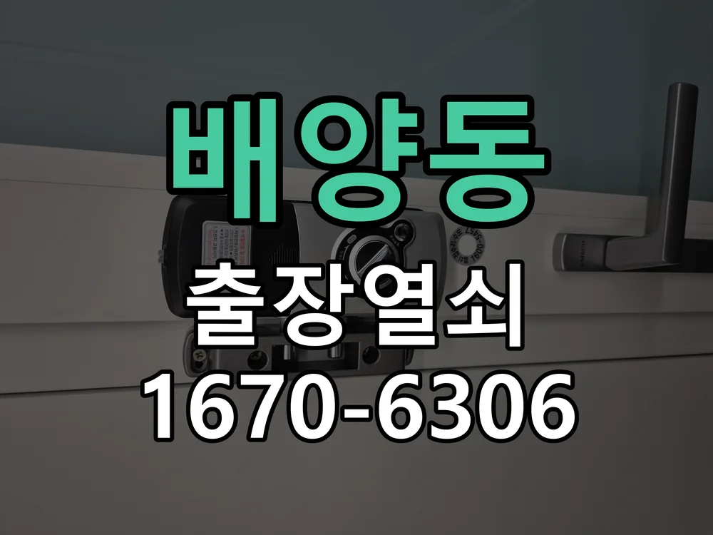 화성시 배양동 도어락 설치 작업 완료 후 점검