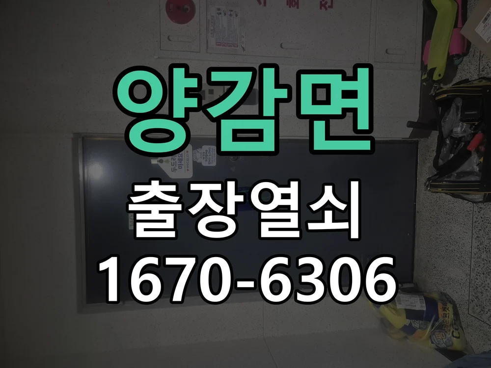 화성시 양감면 현관문 개문 작업 완료 후 점검